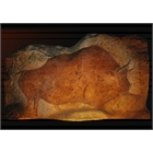 thumbnail Bison aus der Höhle Fond de Gaume - Atelier Arc&Os - Alain Dalis - Montignac Lascaux