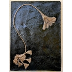 thumbnail Encrinum seirocrinus aus Holzmaden/Württemberg – Exakte Nachbildung – 180 Millionen Jahre alt – Toarcium-Schiefer – Das Encrinum wird „Seelilie“ genannt – Tier aus der Familie der Seeigel – 80 × 50 cm – 9 kg